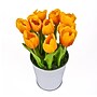 National Tree Company 9" Orange Tulip Bouquet (MT81-130TU25POR)~#|#~1E512906-2969-472C-A719D25A2C1A759E_sc7