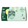 Perrier Lime Flavored Sparking Mineral Water, 16.9 Fl oz., 24/Carton (12283034)~#|#~1E562917-41A0-4B08-B91E8DCE6870ED47_sc7