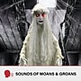 Haunted Hill Farm Life-Size Animatronic Ghost Bride (HHLADY-2FLSA)~#|#~1E78C5A4-0944-4358-97CA8270784FED5F_sc7