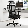 Sealy Astra Ergonomic Mesh Swivel Executive Chair, Black ~#|#~1E8ADD84-D5AC-4038-879AF32ECE15CB8B_sc7