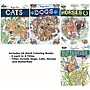 S&S Worldwide Adult Coloring Books, 32 Pages, 24/Pack (19355)~#|#~1E8BC5F1-0A5F-48AE-B4992453DDB206F9_sc7