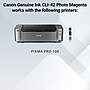 Canon 42 Photo Magenta Standard Yield Ink Cartridge (6389B002)~#|#~1EB57154-CD46-4FC3-8CD60DAE84A35A15_sc7