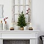 Nearly Natural Artificial Christmas Tree, 2' (T3325)~#|#~1EB64780-9E22-4ADD-8719E1F9ED7FF5DF_sc7