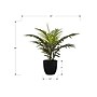 Monarch Specialties Inc. 20" Artificial Palm Plant in Pot (I 9501)~#|#~1EB9652A-7CFD-4A51-832DA078B960643C_sc7