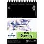 Canson Artist Series 9" x 12" Wire Bound Drawing Sketch Pad, 24 Sheets/Pad, 3/Bundle (MCXC100510890-3)~#|#~1EDD4CB0-5B8F-4051-828A9DFFB51C32D7_sc7