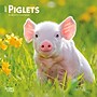 2027 BrownTrout Piglets 7" x 7" Monthly Wall Calendar (9798330709816)~#|#~1EEC2D27-D16A-46ED-AFA47F3FDC2664D7_sc7