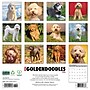 2026 Willow Creek Goldendoodles 12" x 12" Monthly Wall Calendar (51313)~#|#~1EEC6252-DFEE-4839-B56552F5C9A22748_sc7