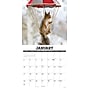 2027 Willow Creek Gettin' Squirrelly 12" x 12" Monthly Wall Calendar, Assorted Colors (60407)~#|#~1EFAA192-0D00-40FE-A5BF879C45312E43_sc7