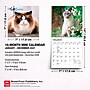 2027 BrownTrout Cat Lovers 7" x 7" Monthly Wall Calendar, Assorted Colors (9798330709717)~#|#~1F03CD75-5858-48C5-8E6CFE7158248449_sc7
