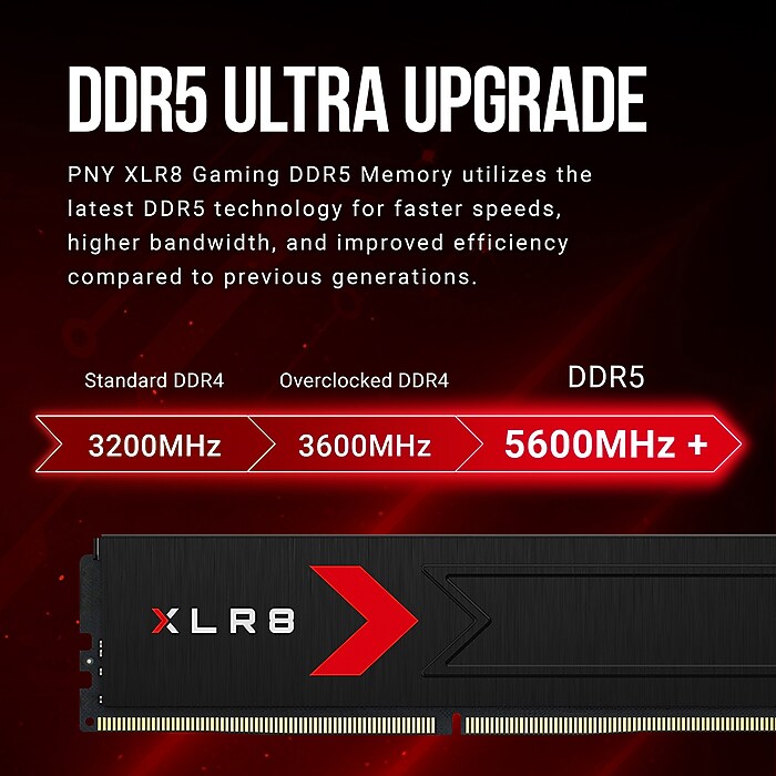 PNY XLR8 Gaming 32GB (2 x 16GB) DDR5 UDIMM 288-pin Desktop Memory