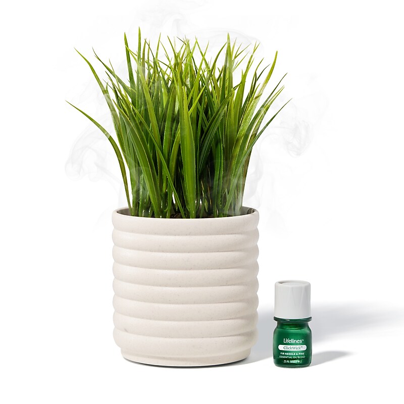 Lifelines Fir Needle & Pine Evaporative Aromatherapy Essential Oil Grass Plant Diffuser (11-1608) image 1
