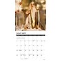 2026 Willow Creek Gettin' Squirrelly 7" x 7" Monthly Wall Calendar (53591)~#|#~1F2F8524-E68F-4A8F-8FF0D2BB68019F14_sc7