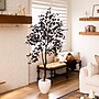 Nearly Natural Artificial Halloween Black Maple Tree, 6' (T5158)~#|#~1F3D711E-5E3A-4BA4-8873D44A69F73777_sc7