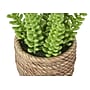 Monarch Specialties Inc. 7" Artificial Succulent Plants, 2/Set (I 9367)~#|#~1F416A5E-11AB-4835-9026B0E2D0B31C00_sc7