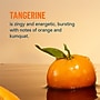 LIQUID I.V. Hydration Multiplier Immune Support Tangerine Electrolyte Powder Drink Mix, 0.56 oz., 15 Sticks/Box (EHC28602)~#|#~1F46C4A1-B065-4A07-B500B78F9F044D3C_sc7
