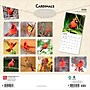 2026 BrownTrout Cardinals 12" x 12" Monthly Wall Calendar (9798330702749)~#|#~1F4CC3C9-891F-4CF1-8BD98BDD377F9250_sc7