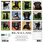 2026 Willow Creek Black Labs 12" x 12" Monthly Wall Calendar (50316)~#|#~1F4D11D7-6842-4EFF-9B39DD633C4ACCD7_sc7