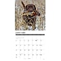 2027 Willow Creek Hunting Labs  12" x 12" Monthly Wall Calendar (60742)~#|#~1F55F1CF-0275-4861-8F96C45E466A2305_sc7