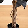 Nearly Natural Artificial Halloween Black Ficus Tree, 3' (T5134)~#|#~1F578793-6139-4AB6-9E90BE540447D534_sc7