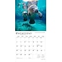 2026 BrownTrout Sunshine State Florida Places 12" x 12" Monthly Wall Calendar (9798330707683)~#|#~1F5CB400-5A7C-45A7-8C97CDD0534173A5_sc7