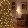 National Tree Company Jersey Fraser Fir Artificial Christmas Tree (PEJF1-302LD-65)~#|#~1F61D0E1-3E61-4556-B946014A38315427_sc7