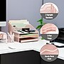 Mind Reader 5-Compartment Metal Desk Organizer, Pink (MESHBOX5-PNK)~#|#~1F73D97E-7058-4C91-A92B68A69B91E40A_sc7