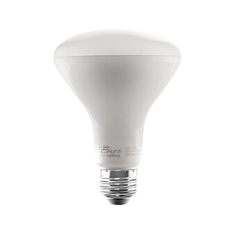 Viribright 9-Watt Soft White LED Floodlight Bulb, 6/Box (450124-ES)