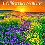 2026 BrownTrout California Nature 12" x 12" Monthly Wall Calendar (9798330702732)~#|#~1F9C5D1B-585B-4CD9-96048366392AE2E5_sc7
