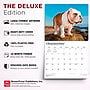 2027 BrownTrout For the Love of Bulldogs 14" x 12" Monthly Wall Calendar, Assorted Colors (9798330714674)~#|#~1F9E27DA-9FFC-4388-9D94530295694142_sc7