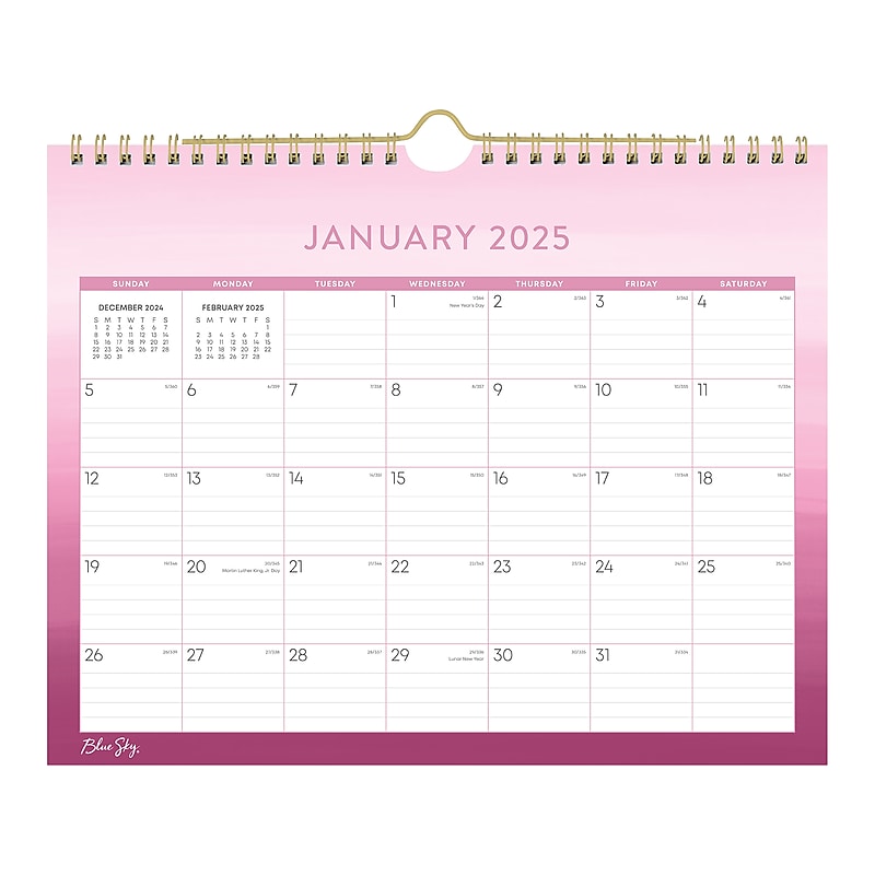 2025-2026 Blue Sky Juno 11" x 8.75" Monthly Wall Calendar, Pink (152475) image 1