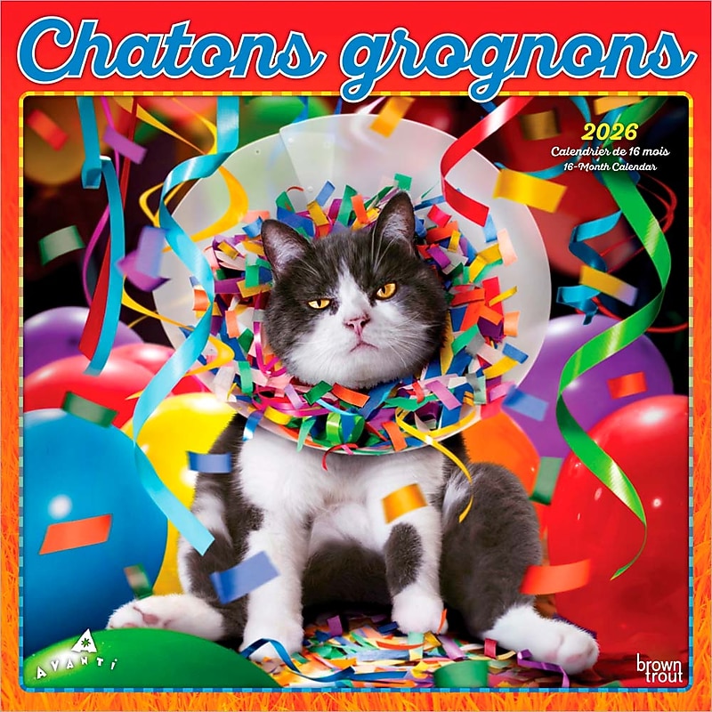 2026 BrownTrout Avanti Chatons Grognons OFFICIEL 12" x 12" Monthly Wall Calendar (9798330707287) image 1