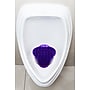 Diversey ekcoscreen Urinal Screen, Berry Scent, Purple, 12/Pack (EKS-1P-12)~#|#~1FE5A77E-EE72-4984-ABDC8271FF23EC8B_sc7