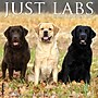 2027 Willow Creek Labs  12" x 12" Monthly Wall Calendar (60988)~#|#~1FF956EF-25CF-4BB6-8BAB32CFAEC8CAC6_sc7