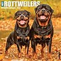 2026 Willow Creek Rottweilers 12" x 12" Monthly Wall Calendar (52617)~#|#~1FFAC488-090D-4944-91915139C28DE94A_sc7