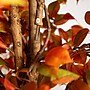 Nearly Natural 10' Autumn Ficus Artificial Fall Tree (T4769)~#|#~1FFB88D1-8287-438F-A60C2A252F3E92ED_sc7