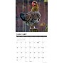 2027 Willow Creek Just Us Chickens 12" x 12" Monthly Wall Calendar (60896)~#|#~1FFD4565-7B53-47C5-AFC0E512DBD695D0_sc7