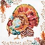 Say Hooray! Tasteful Turkey Paper Plates and Napkins Kit, Multicolored, 48/Pack (DTC9386E2G)~#|#~1FFF4781-A447-43FD-BA0355DDD2EBB517_sc7