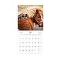 2025-2026 Blue Sky Animal Friends 7" x 7" Academic Monthly Wall Calendar, Assorted Colors (155817)~#|#~2018009A-4B78-412F-B9EAF48A2F53EAC7_sc7