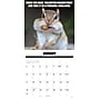 2027 Willow Creek Animal Antics 12" x 12" Monthly Wall Calendar, Assorted Colors (58787)~#|#~201D7F02-143D-4CFE-B235098F9ED6CF6D_sc7