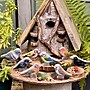 Yellow Door Sensory Play Stones, Birds, Multicolored, 8 Pieces/Set (YUS1219)~#|#~203DD8EF-A9BF-4D1B-9986434744EA67CE_sc7