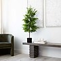 Nearly Natural Artificial Norfolk Pine Tree, 4' (T4708)~#|#~2045456E-1737-4D4F-B23794E306BEA758_sc7