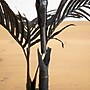 Nearly Natural Artificial Halloween Black Golden Cane Tree, 3' (T5139)~#|#~204987C8-668B-4373-8562C9C503F6A577_sc7