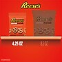 Reese's Chocolate and Peanut Butter Candy Dipped Pretzels, 4.25 oz ...