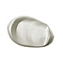 Liquitex LX ACRYLIC BASICS Acrylic Paint, Iridescent White, 118 ml. (LIQ1046238)~#|#~2073FB2B-0601-491C-801571EBBFC01A18_sc7
