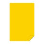Astrobrights Astrobrights 11" x 17" Color Copy Paper, 24 lbs. Solar Yellow, 2,500 Sheets/Carton (22533CT)~#|#~208244FA-993F-4391-8D7D4A8FC032047B_sc7