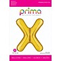 Party City (Air-Filled) 16" "X" Foil Balloon, Gold, 2/Pack (AM60050237-19)~#|#~2096CEF9-FC71-4C68-BEF156A40147729D_sc7