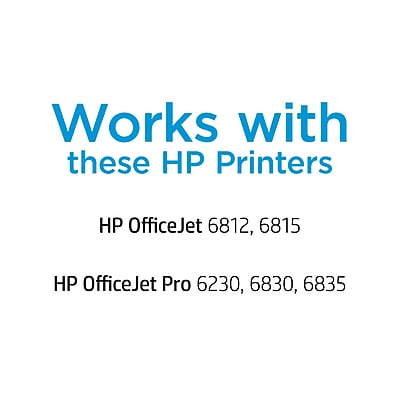 HP 934 Black Standard Yield Ink Cartridge, Prints Up to 400 Pages (C2P19AN#140) Sansujyuku sansujyuku.com