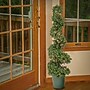 National Tree Company 44" Pre-Lit Artificial Boxwood Spiral Topiary (LBXM63-306-44UB)~#|#~20AE278A-8992-47F9-9D89F9456FB5F384_sc7