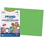 Prang 12" x 18" Construction Paper, Bright Green, 50 Sheets/Pack, 5 Packs/Bundle (PAC9607-5)~#|#~20C83764-65C1-47A3-829730D3069E8383_sc7