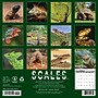 2027 Willow Creek Scales 12" x 12" Monthly Wall Calendar (62159)~#|#~20C90088-0360-4C65-B9B709CDA3505B8C_sc7